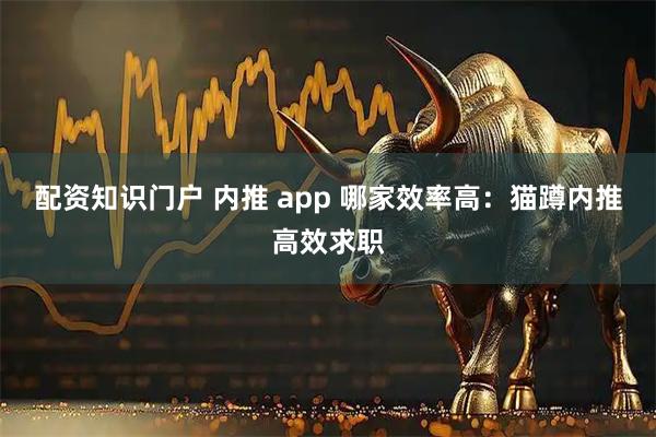配资知识门户 内推 app 哪家效率高：猫蹲内推高效求职