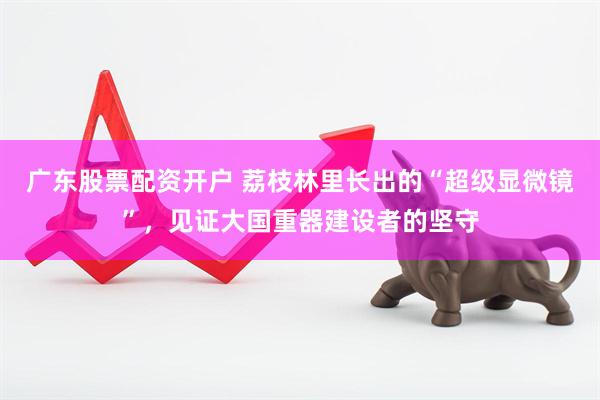 广东股票配资开户 荔枝林里长出的“超级显微镜”,见证大国重器建设者的坚守